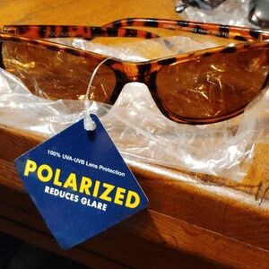 Polarized FDS Foster grant